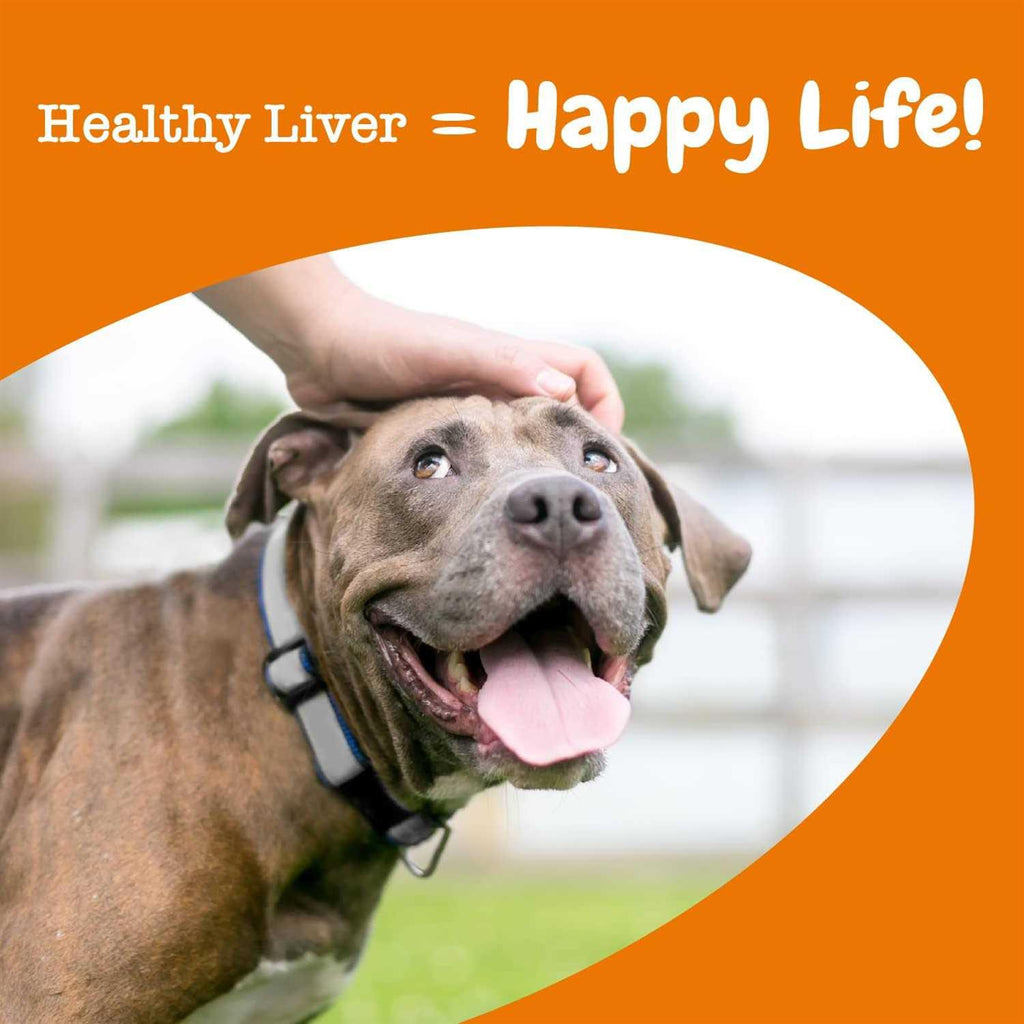 Liver Support Bites for Dogs T483732