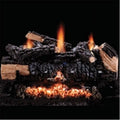 24 Inch Natural Gas Vent-free Log Set T4136
