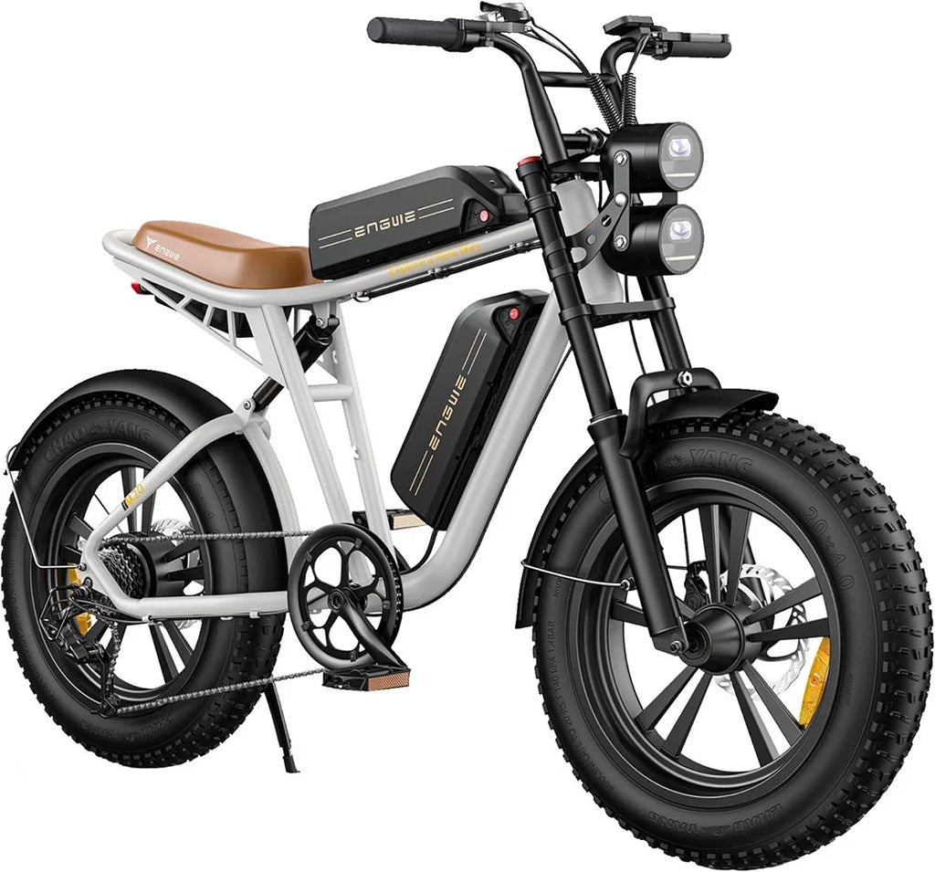 750W 20" Fat Tire Electric Bike with 48V/26Ah Battery E854