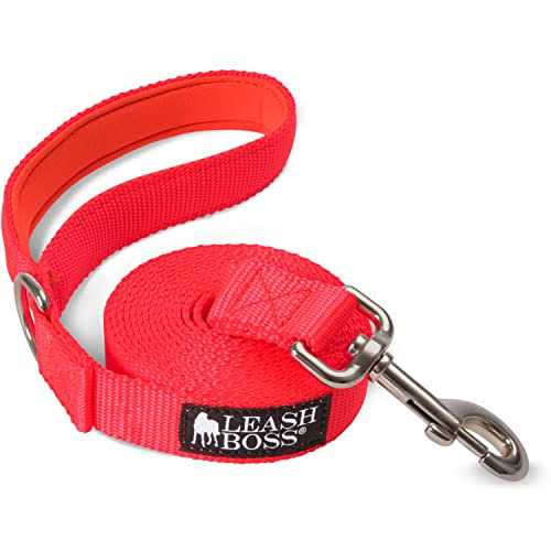 10 Foot Dog Leash with Padded Handle E834918