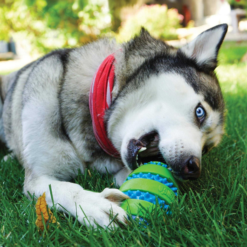 Football Dog Toy A857