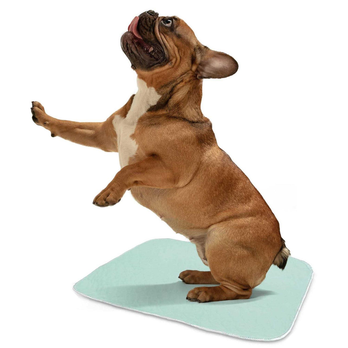 Washable Bed Pads Q65923