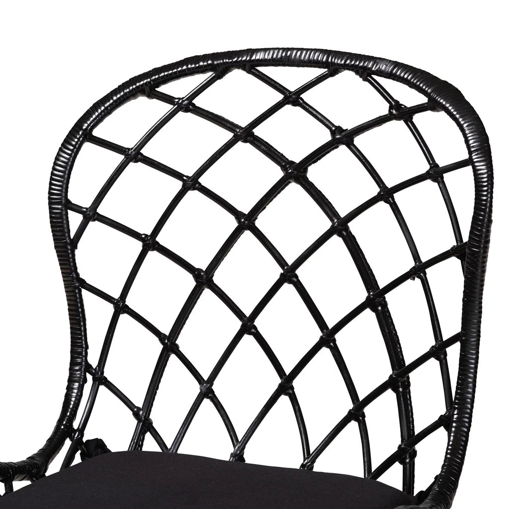 Black Rattan and Metal 2-Piece Dining Chair Set P313155