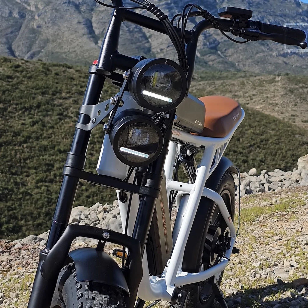 750W 20" Fat Tire Electric Bike with 48V/26Ah Battery E854