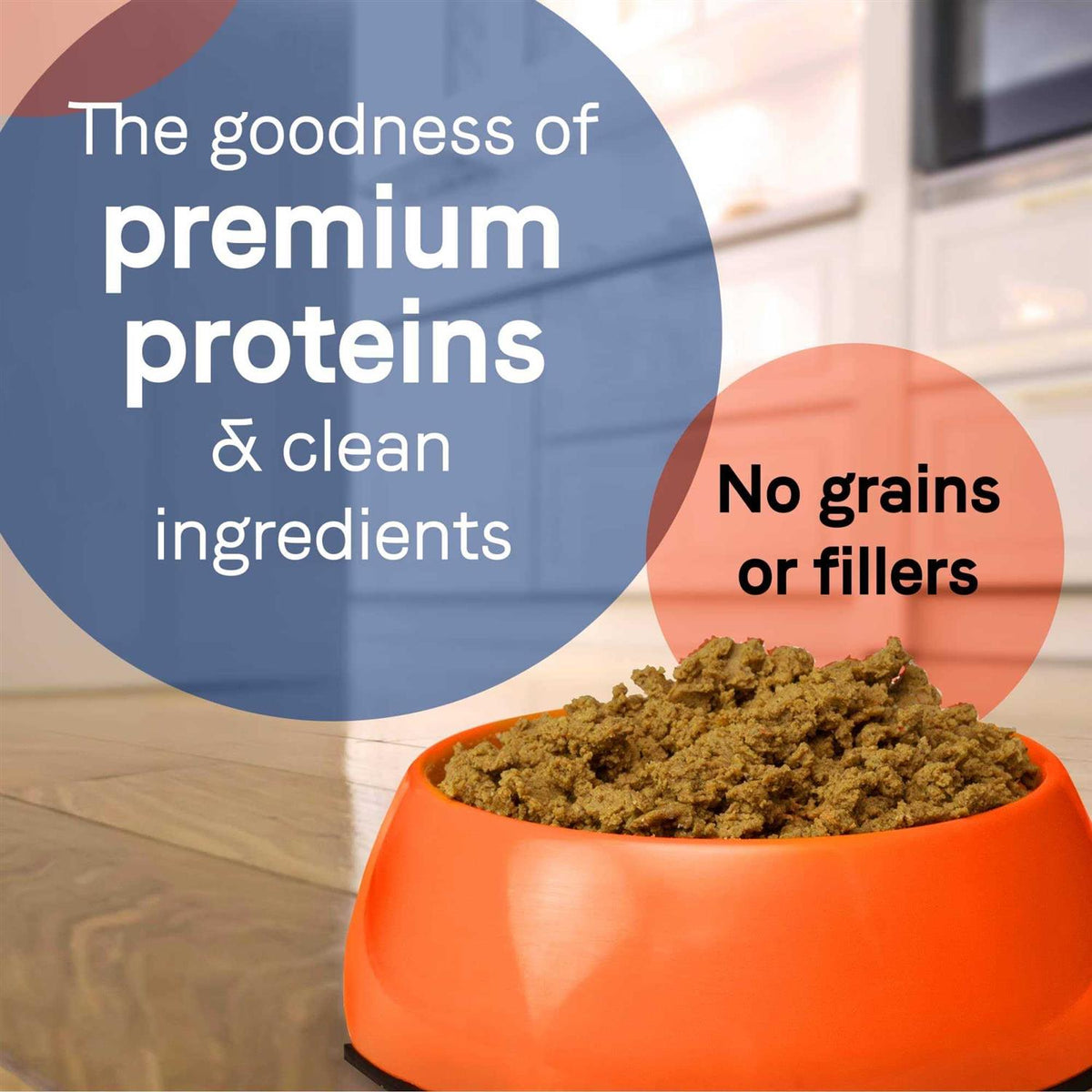 Grain-Free Salmon & Sweet Potato Canned Dog Food U179011