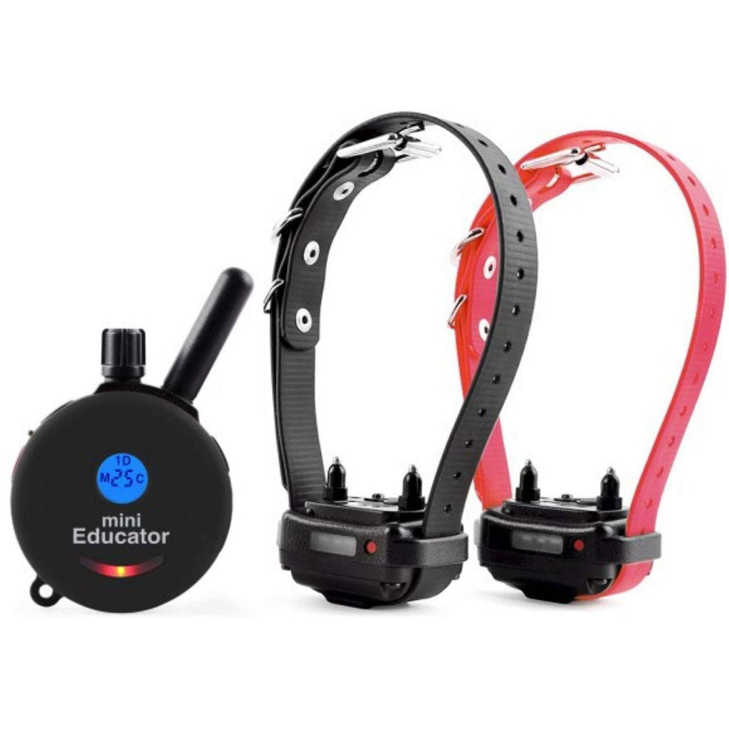 Dog Training Collar System with Remote V710