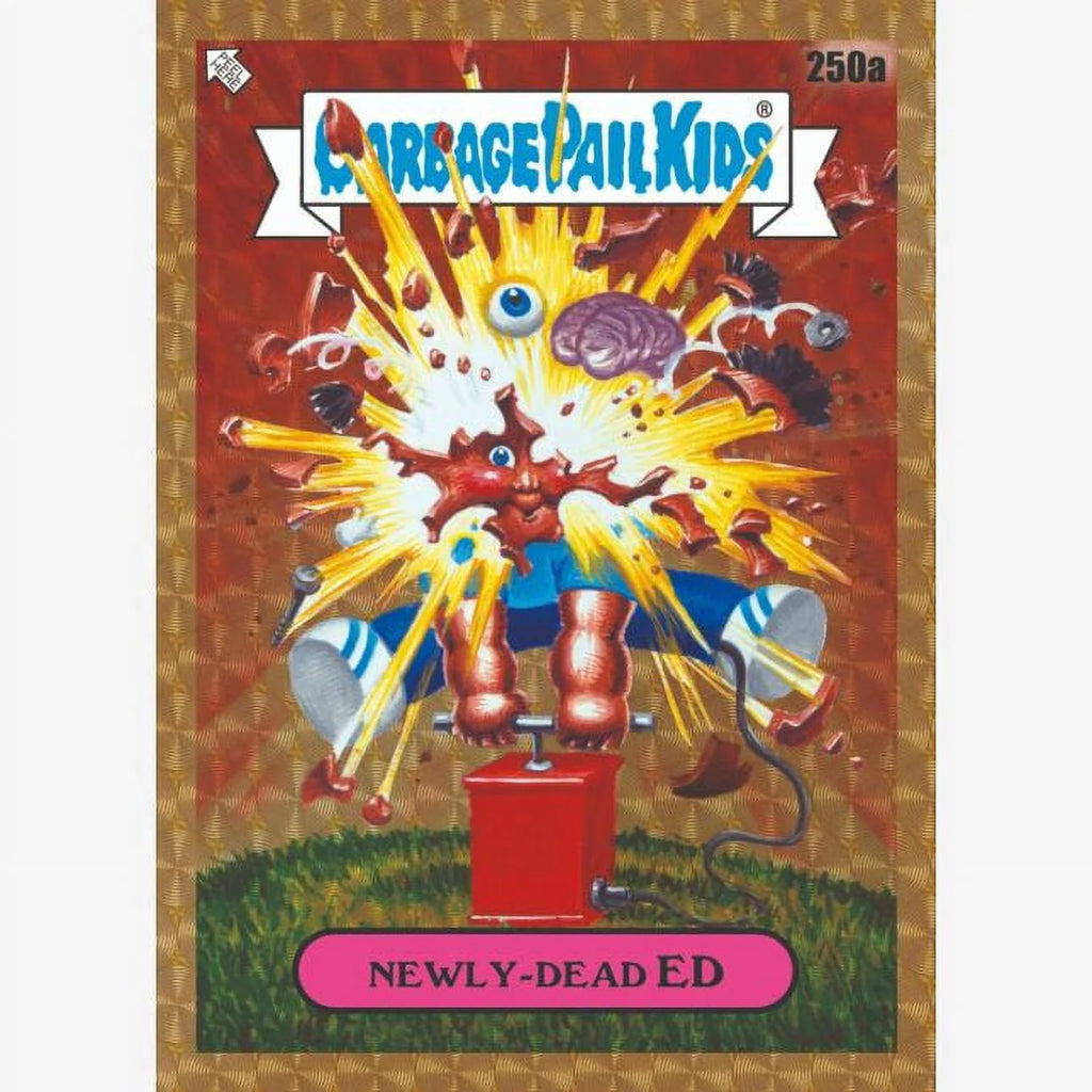 Trading Card Hobby Box (24 Packs) L222356