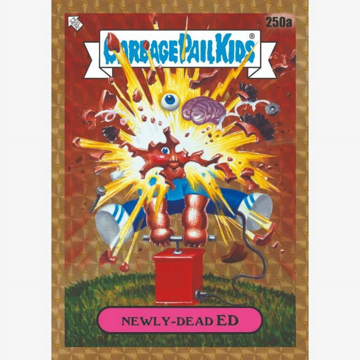 Trading Card Hobby Box (24 Packs) L222356