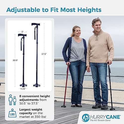 Foldable Walking Cane with T Handle X86629