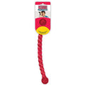 Dog Toy D782837