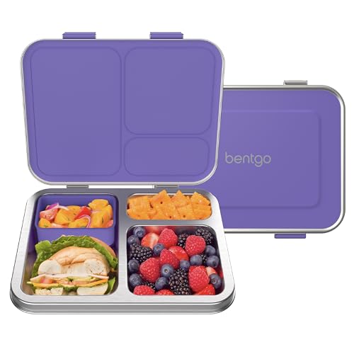 Stainless Steel Leak-Resistant Lunch Box, 3-Compartments with Silicone Container, Dishwasher Safe, BPA-Free (Fuchsia) Z593