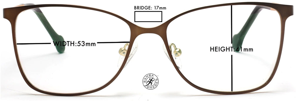 Metal Stainless Steel Optical Eyeglasses Frame Z952
