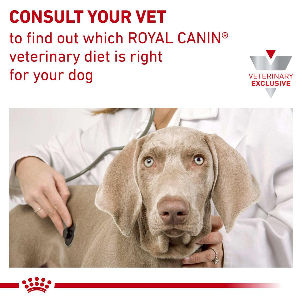 Veterinary Diet Canine Hydrolyzed Protein Adult PS Dry Dog Food P3784