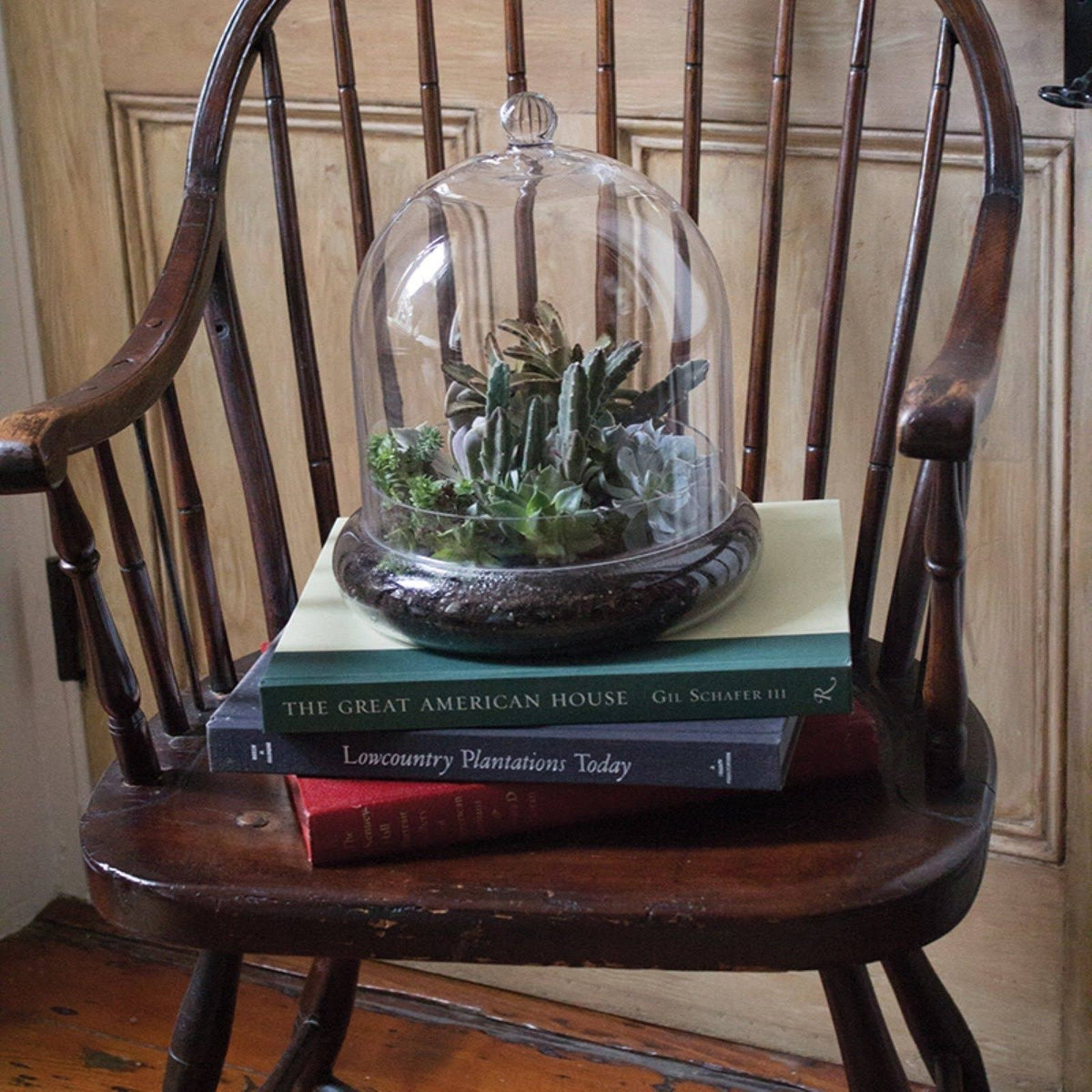 Mini Greenhouse Terrarium Cloche X356389