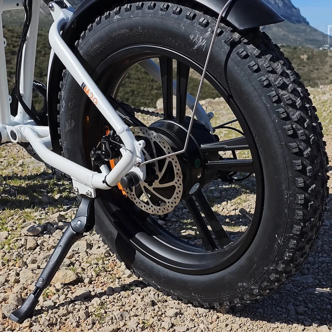 750W 20" Fat Tire Electric Bike with 48V/26Ah Battery E854