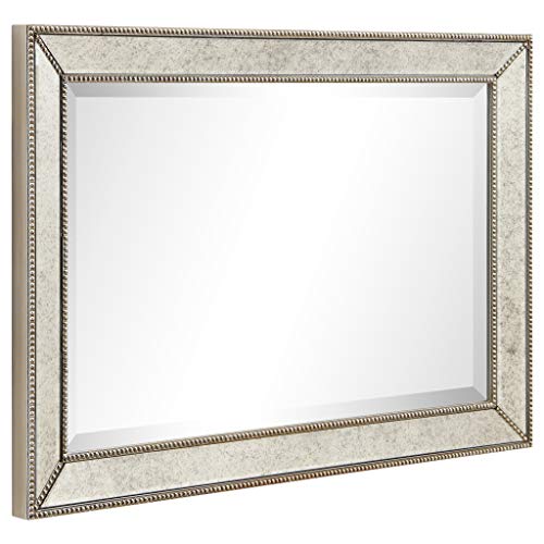 1"-Beveled Center Antique Mirror, Solid Wood Frame, 24" x 54", Champagne Y301690