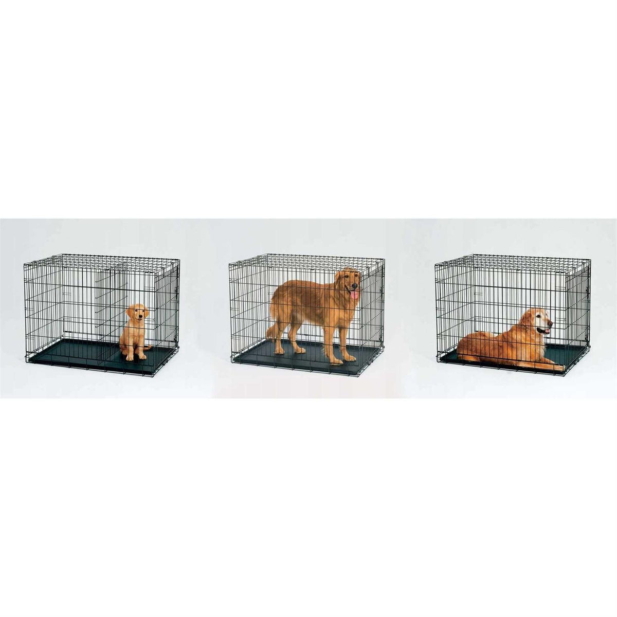 Double Door Dog Crate D170
