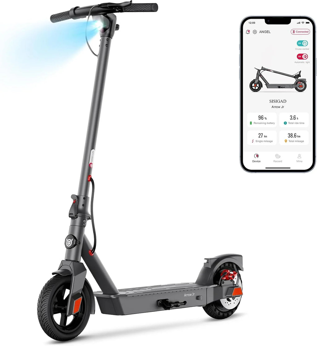 Electric Kick Scooter 300W Motor 8.5 Tires Portable Folding R556