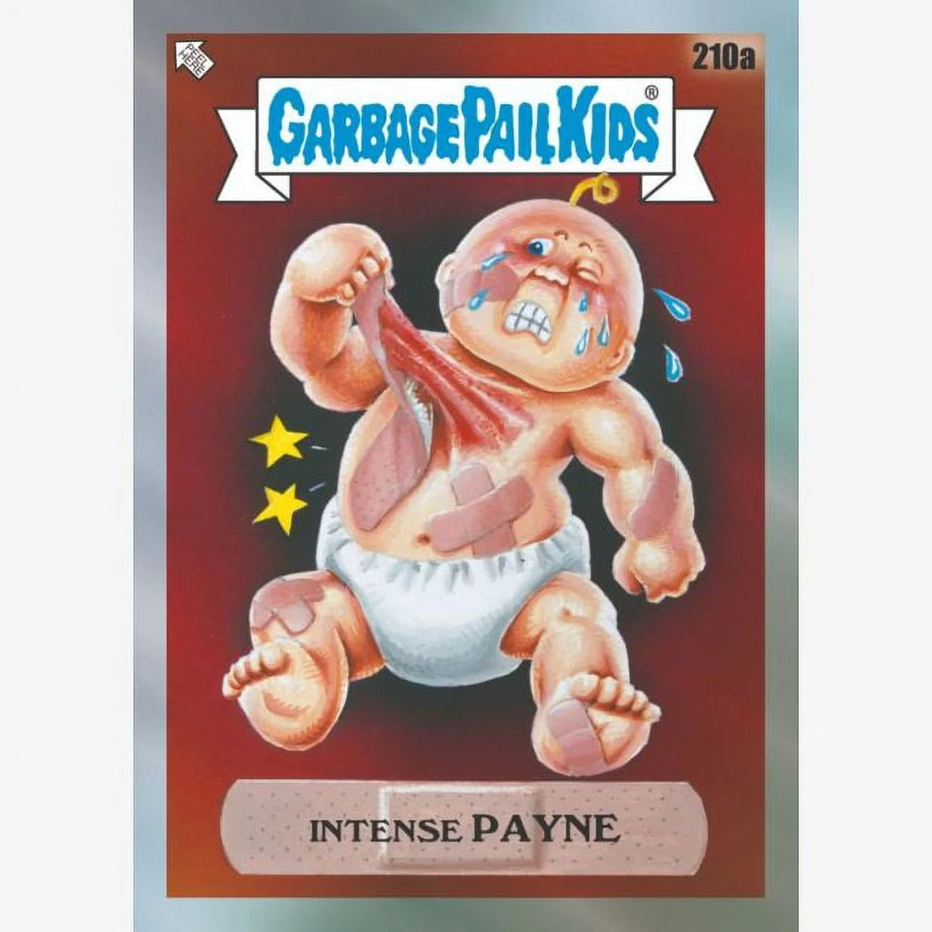 Trading Card Hobby Box (24 Packs) L222356