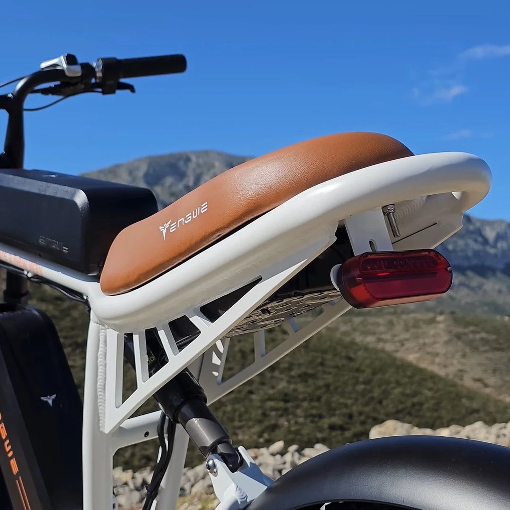 750W 20" Fat Tire Electric Bike with 48V/26Ah Battery E854