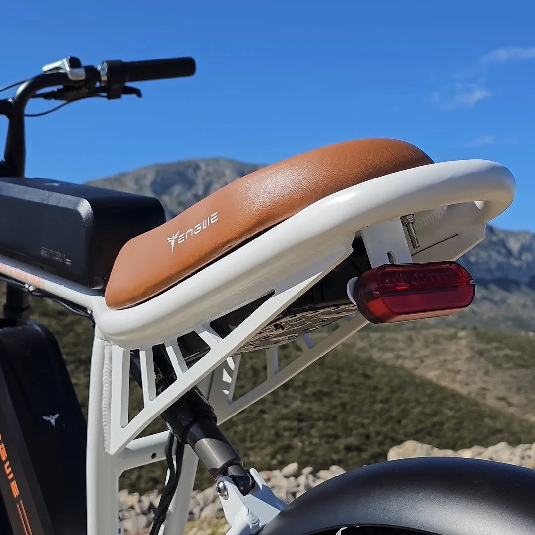 750W 20" Fat Tire Electric Bike with 48V/26Ah Battery E854