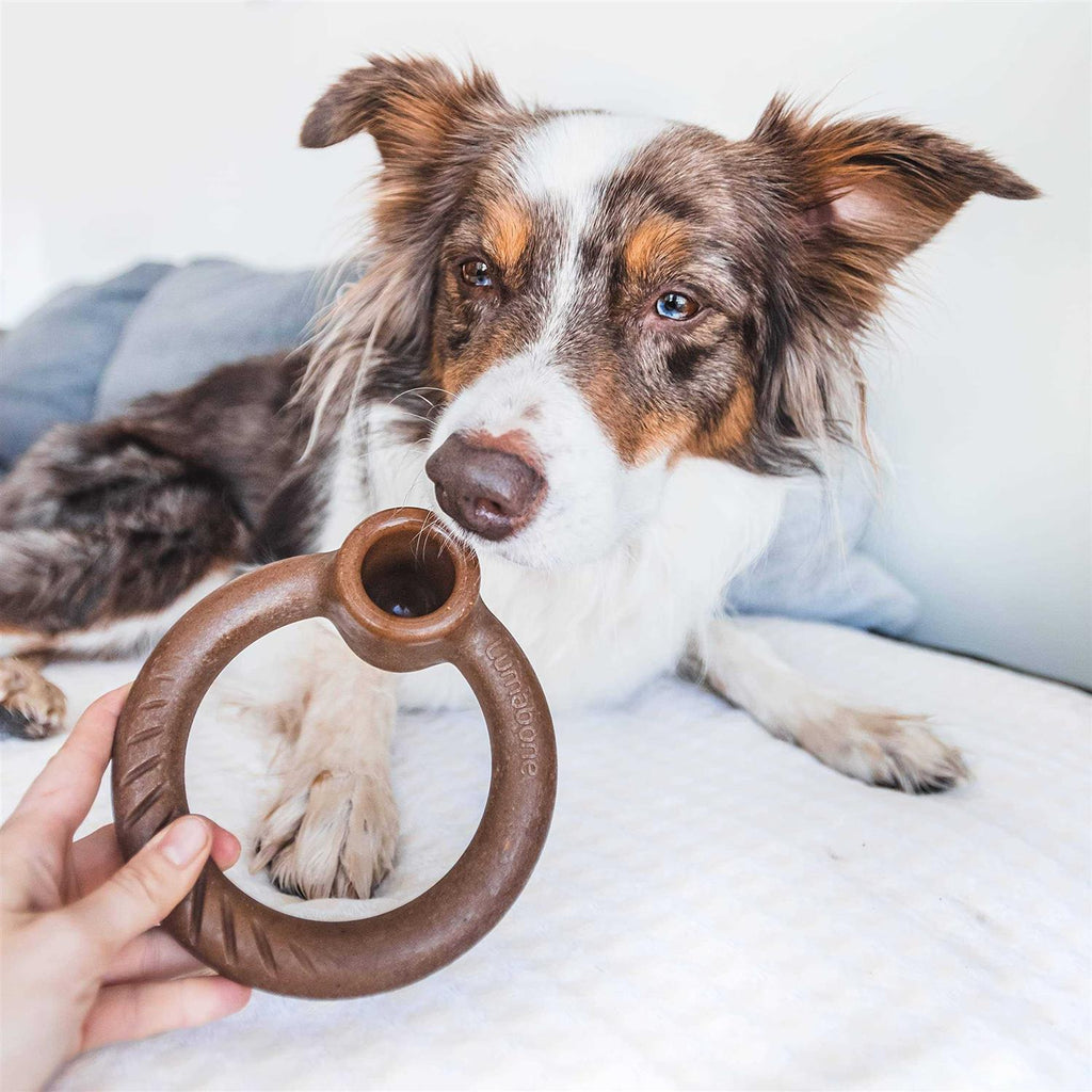 Durable Chew Toy for Aggressive Chewers G15992