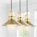 3-Light Adjustable Iron Glass LED Pendant N788