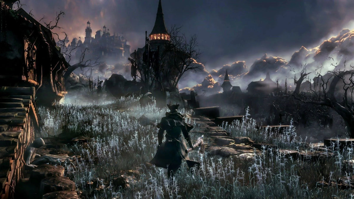 Bloodborne PS4 Game W648