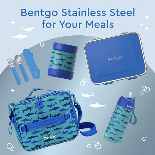 Stainless Steel Leak-Resistant Lunch Box, 3-Compartments with Silicone Container, Dishwasher Safe, BPA-Free (Fuchsia) Z593
