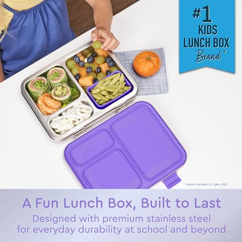 Stainless Steel Leak-Resistant Lunch Box, 3-Compartments with Silicone Container, Dishwasher Safe, BPA-Free (Fuchsia) Z593