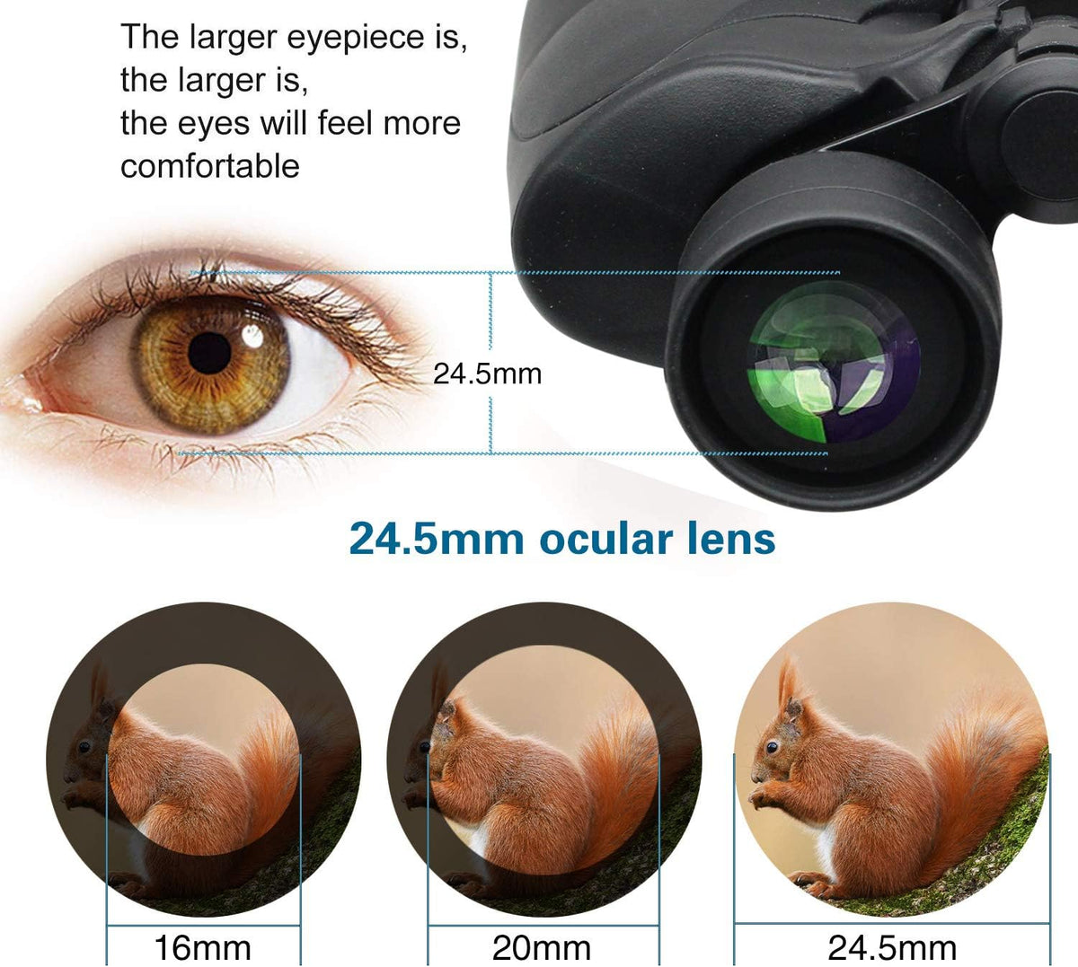 10x50 Waterproof Binoculars with Case and Strap J845630