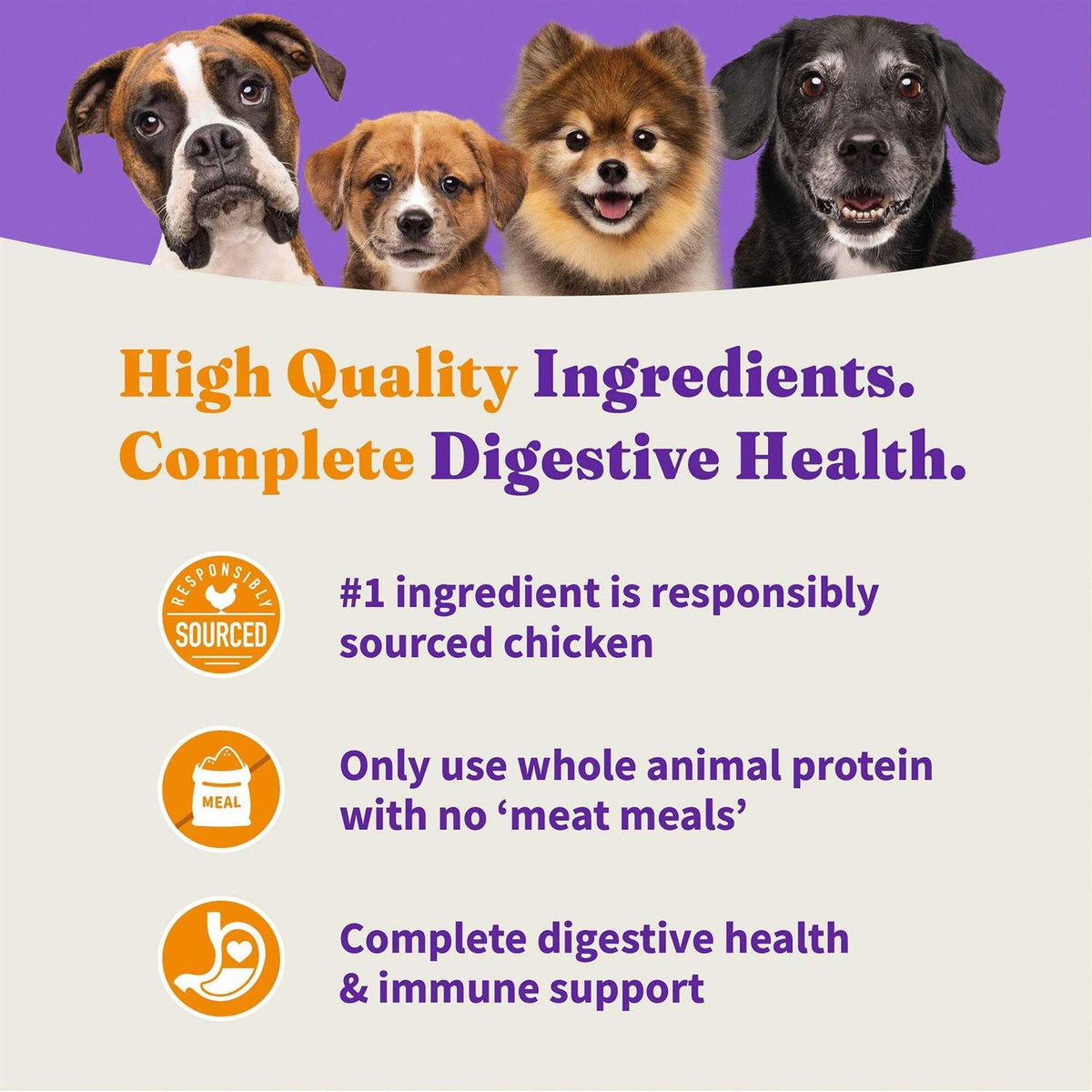 Red Meat Recipe Dry Dog Food Y712396