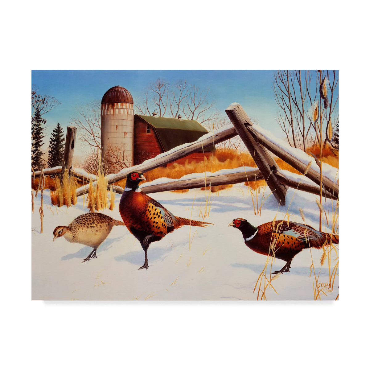 Canvas Art by Leo Stans O674