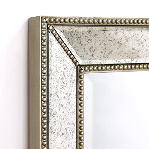1"-Beveled Center Antique Mirror, Solid Wood Frame, 24" x 54", Champagne Y301690