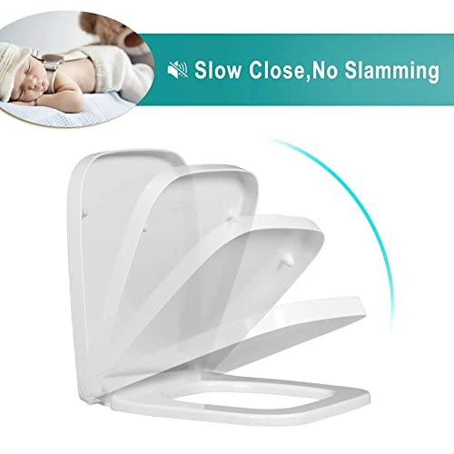 Square Toilet Seat with Adjustable Hinges W695