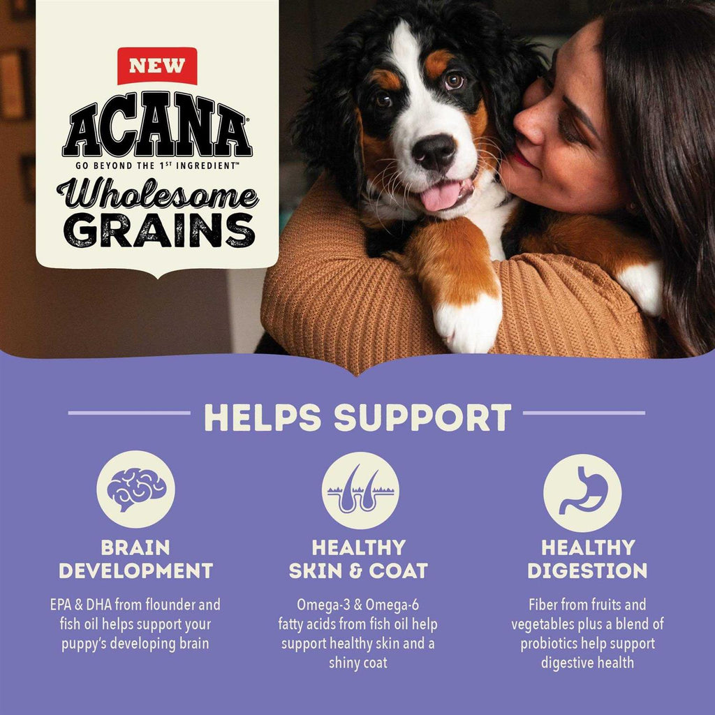 Acana Wholesome Grains Puppy Recipe Dry Dog Food Z10472