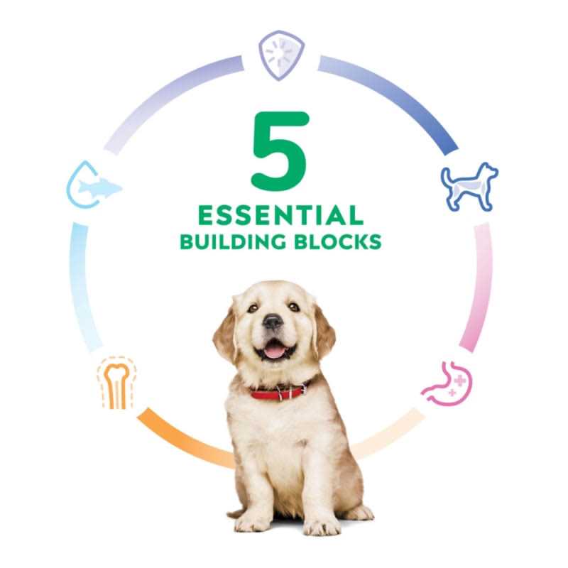 Chicken Recipe Dry Dog Food D470271