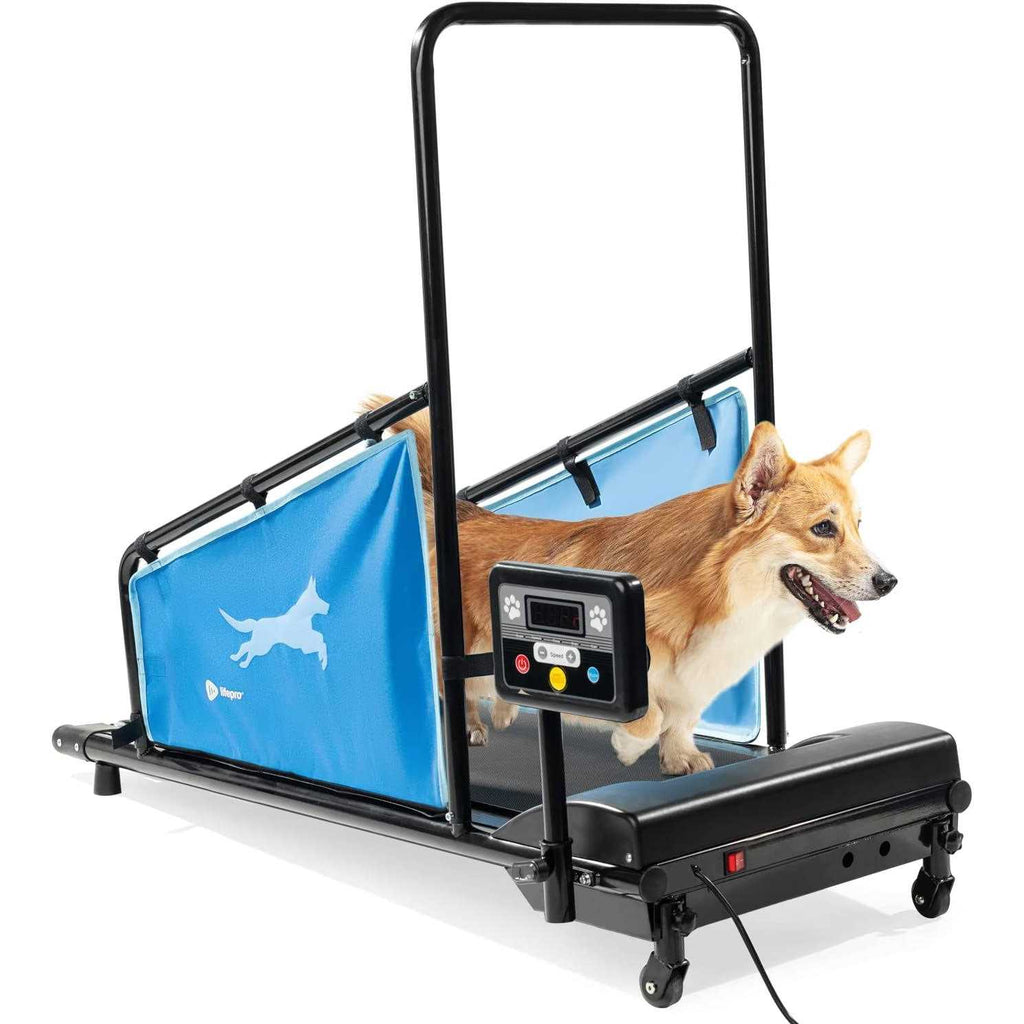 Dog Treadmill T3867