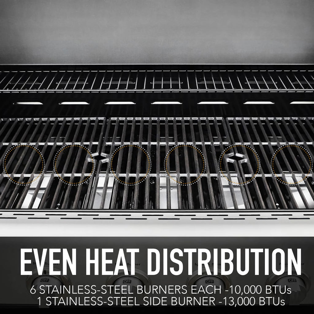 6-Burner Propane Gas Grill with Side Burner F30110