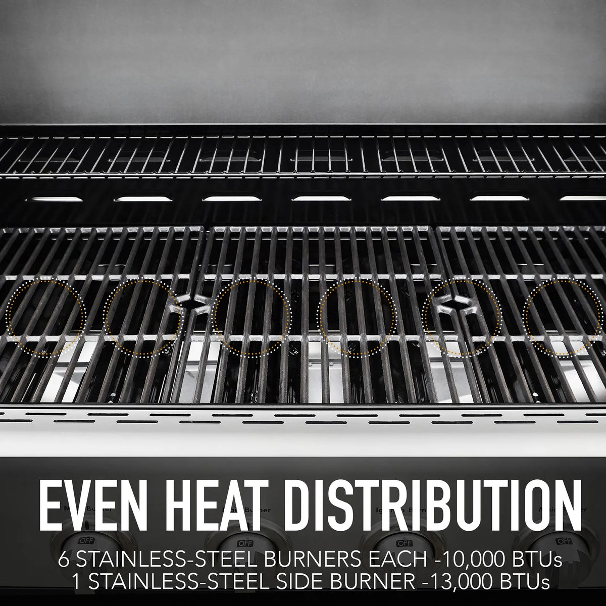 6-Burner Propane Gas Grill with Side Burner F30110