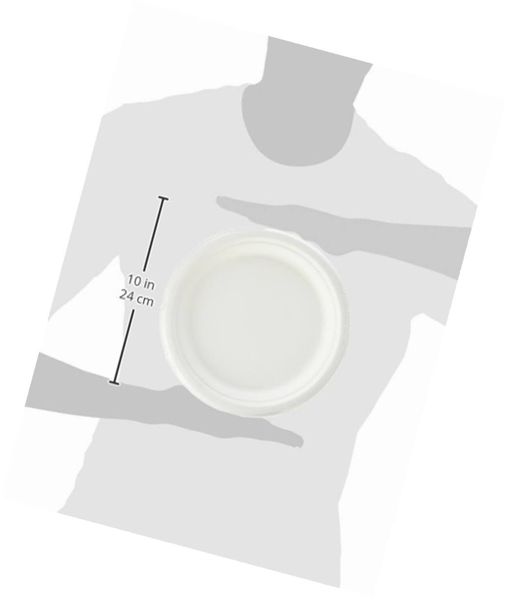 500-Count 9-Inch Compostable Sugar Cane Fiber Plate T4936