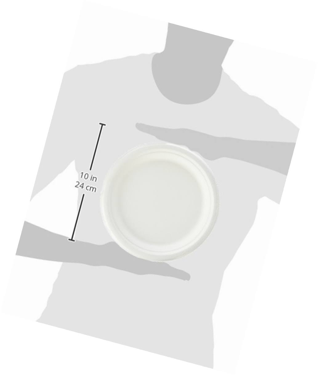 500-Count 9-Inch Compostable Sugar Cane Fiber Plate T4936