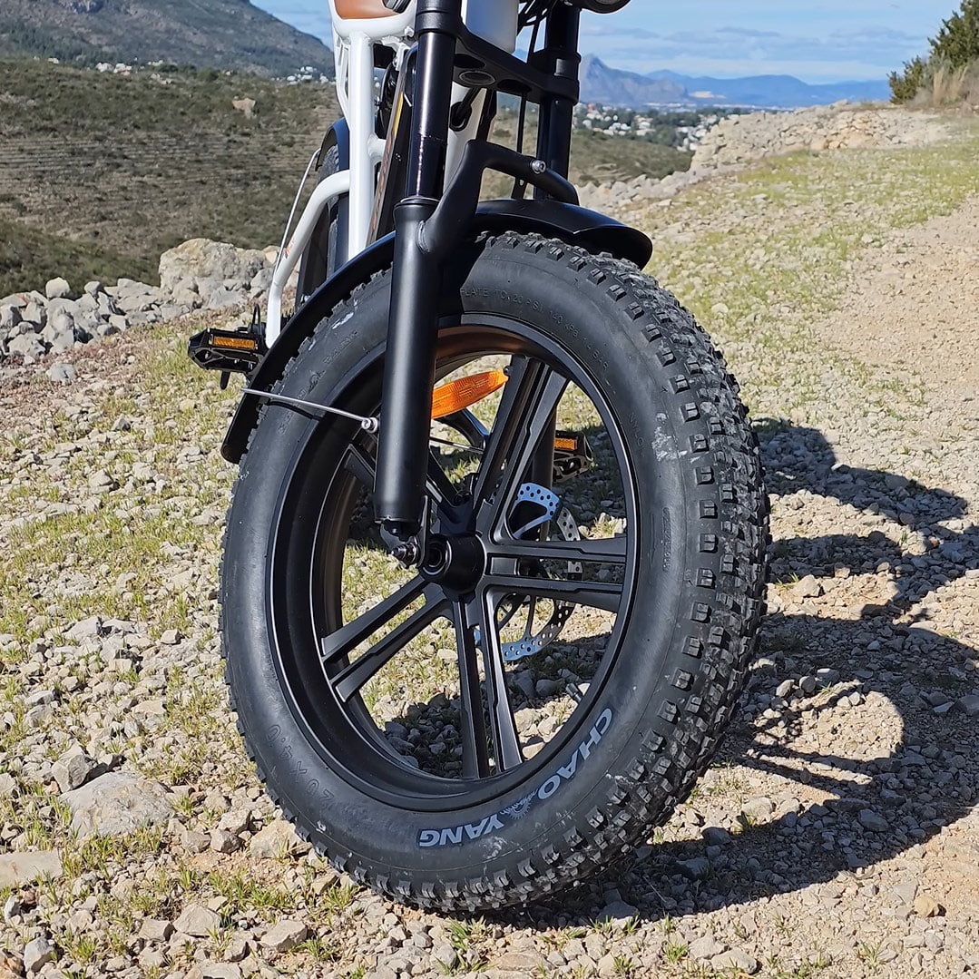 750W 20" Fat Tire Electric Bike with 48V/26Ah Battery E854