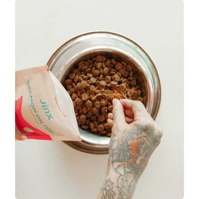 Freeze Dried Salmon Dog Food Topper W46125