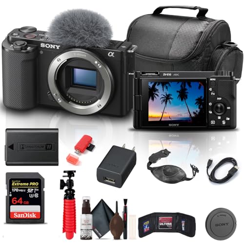 Black Mirrorless Camera with 64GB Memory Card V351