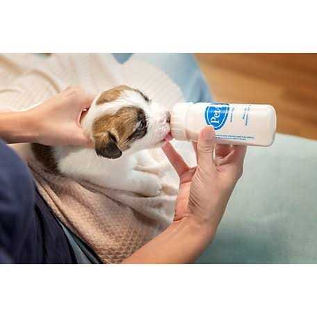Puppy Liquid Milk Replacement O45151