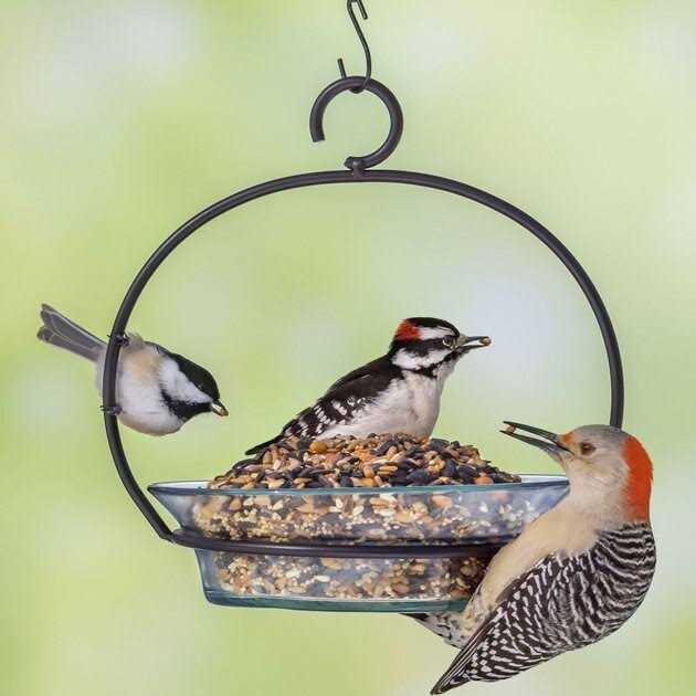 Hot Pepper Blend Bird Food W278