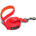 10 Foot Dog Leash with Padded Handle E834918