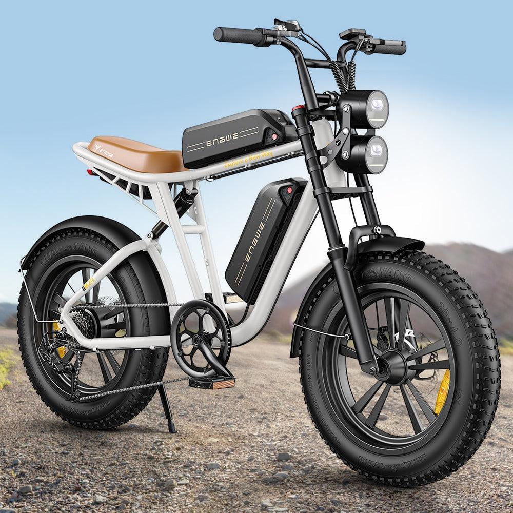 750W 20" Fat Tire Electric Bike with 48V/26Ah Battery E854