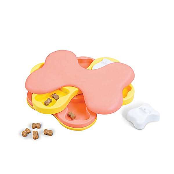 Dog Puzzle Toy V603